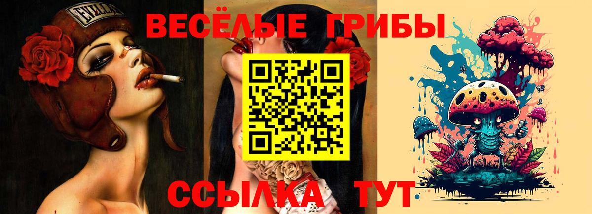 Галлюциногенные грибы Psilocybine cubensis Миллерово